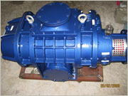 Mechanical Booster Vacuum Pump