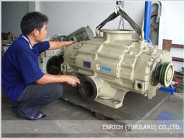 Mechanical Booster Vacuum Pumps