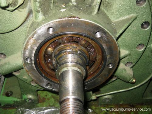 Repairing Oil-sealed Rotary Vacuum Pumps