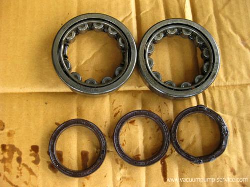 Repairing Single Stage Rotary Vane